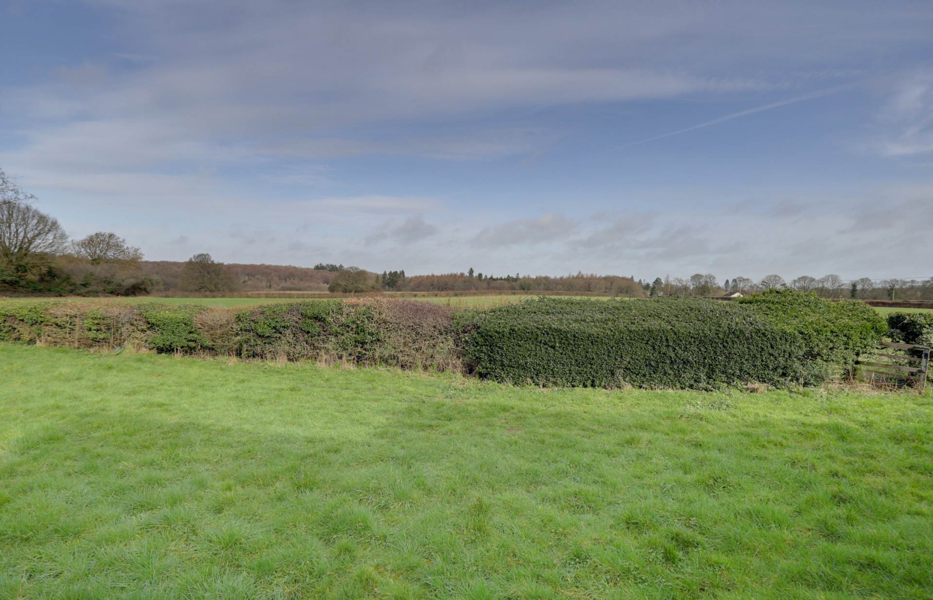 Crays Pond, Crays Pond, South Oxfortdshire, Image 22