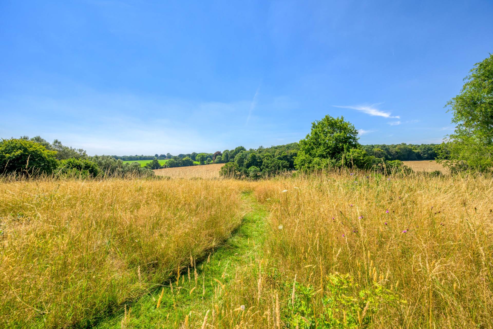 Tanners Lane, Chalkhouse Green, South Oxfordshire, Image 40