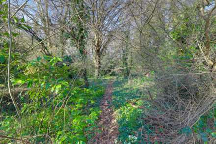 Courtenay Drive, Emmer Green,Reading, Image 4