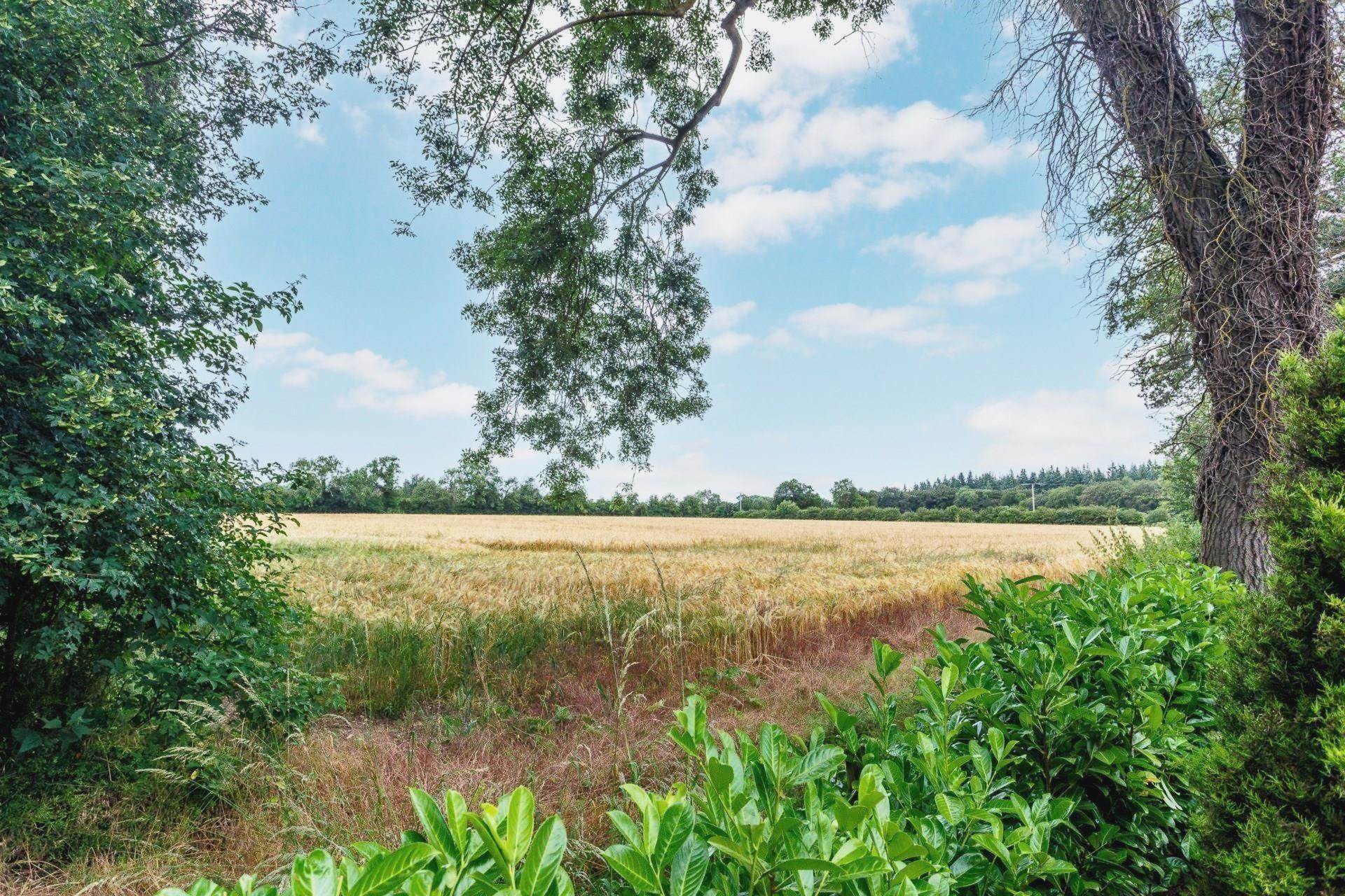 Primrose Cottage, Cane End, South Oxfordshire, Image 11