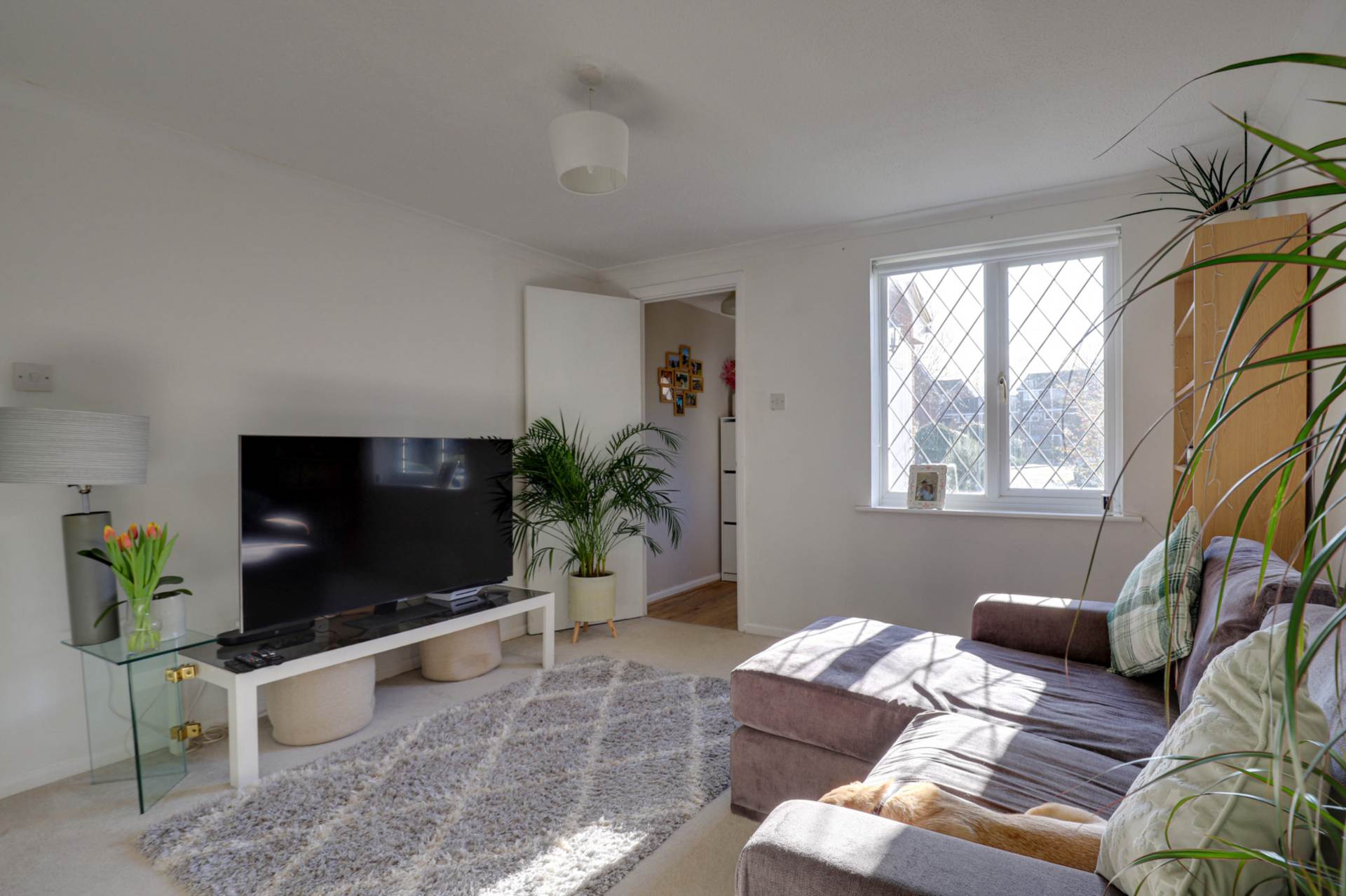 The Willows, Caversham, Image 11