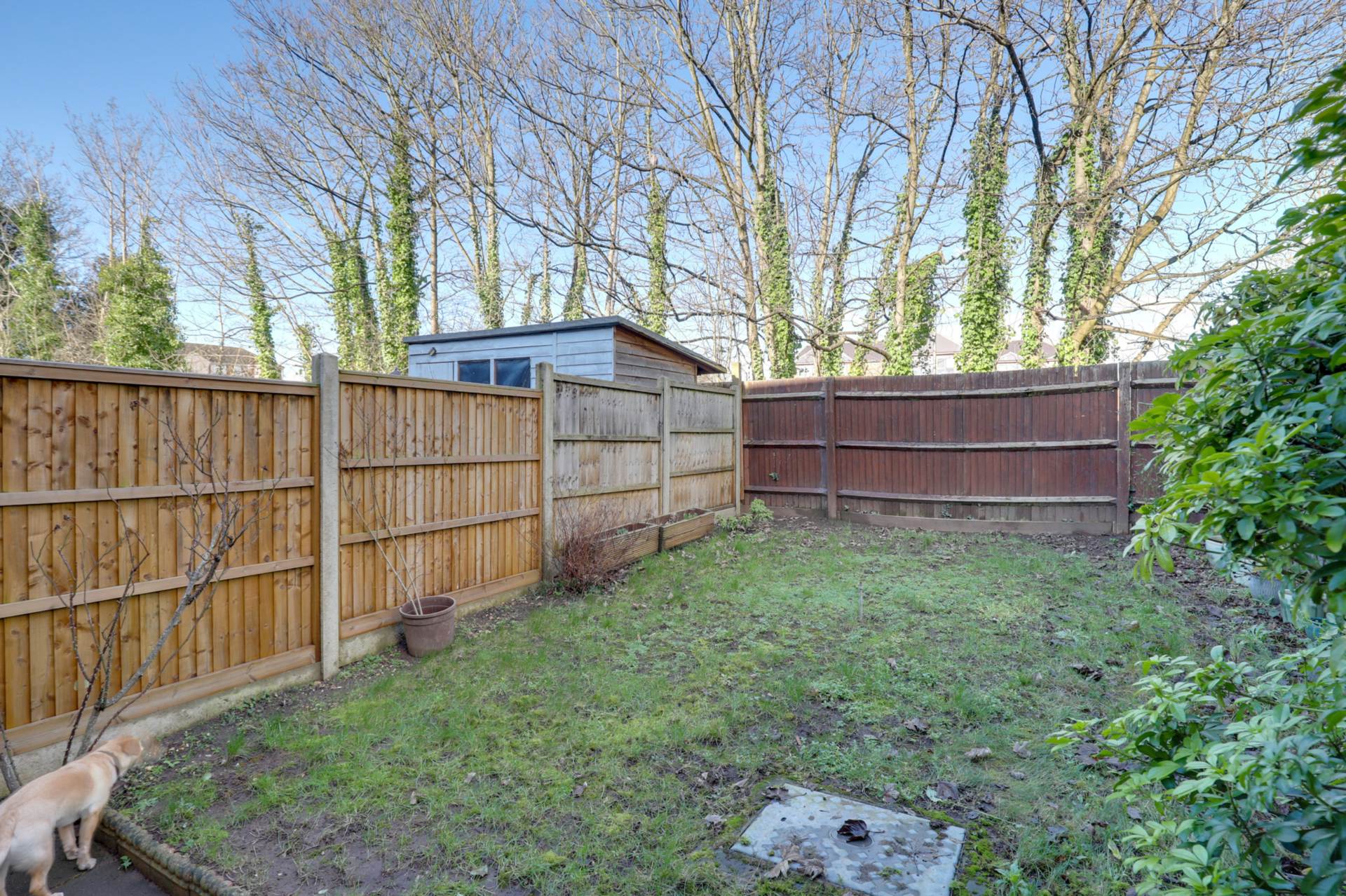 The Willows, Caversham, Image 16