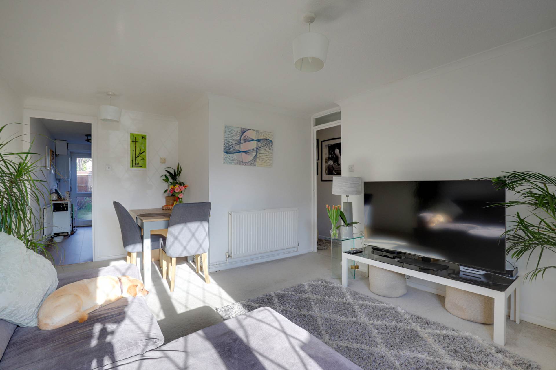 The Willows, Caversham, Image 3