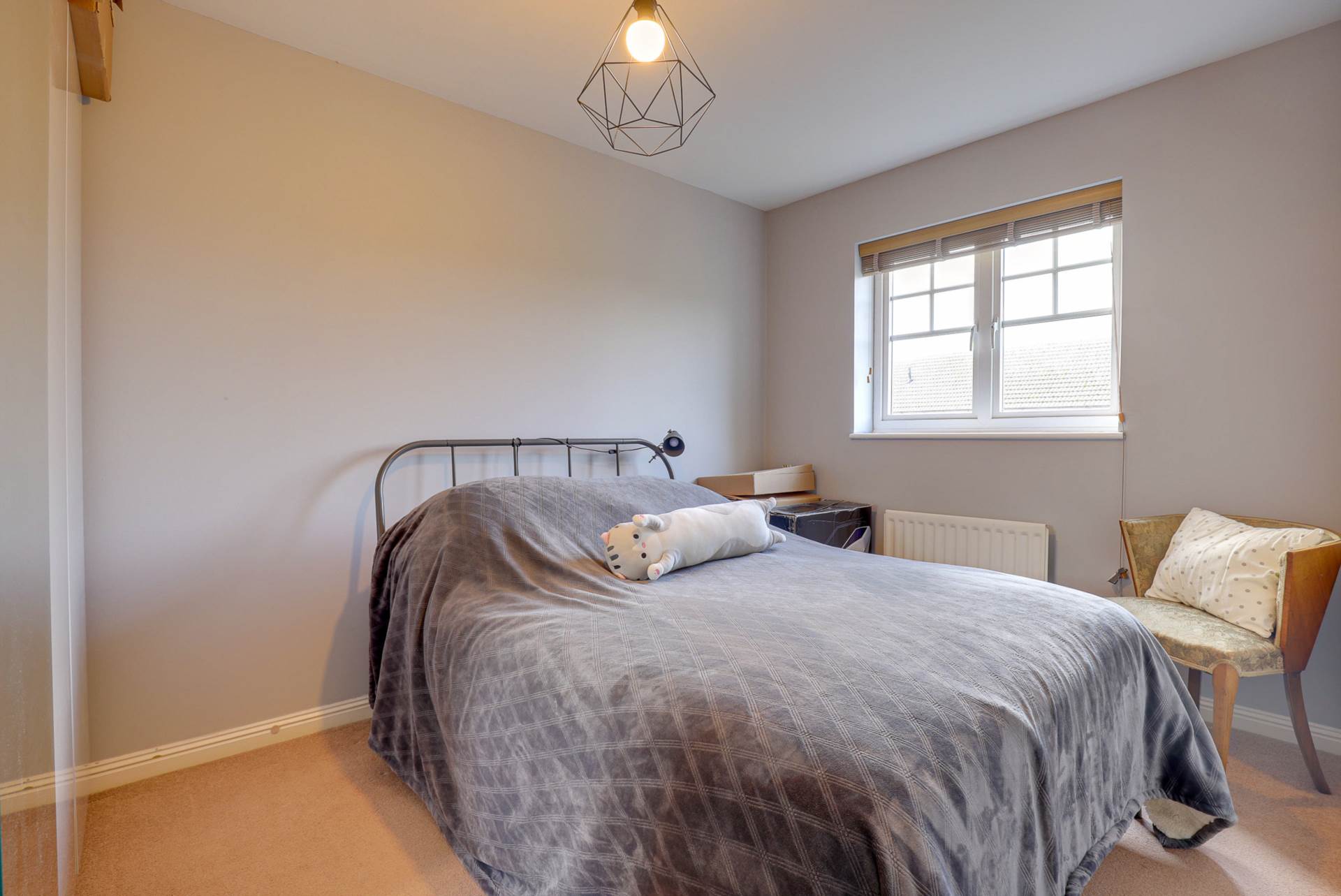 Clonmel, Caversham, Image 11