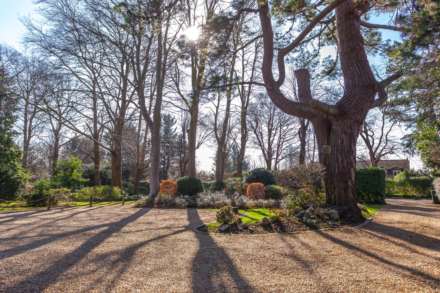 Upper Warren Avenue, Caversham Heights, Reading, Image 37