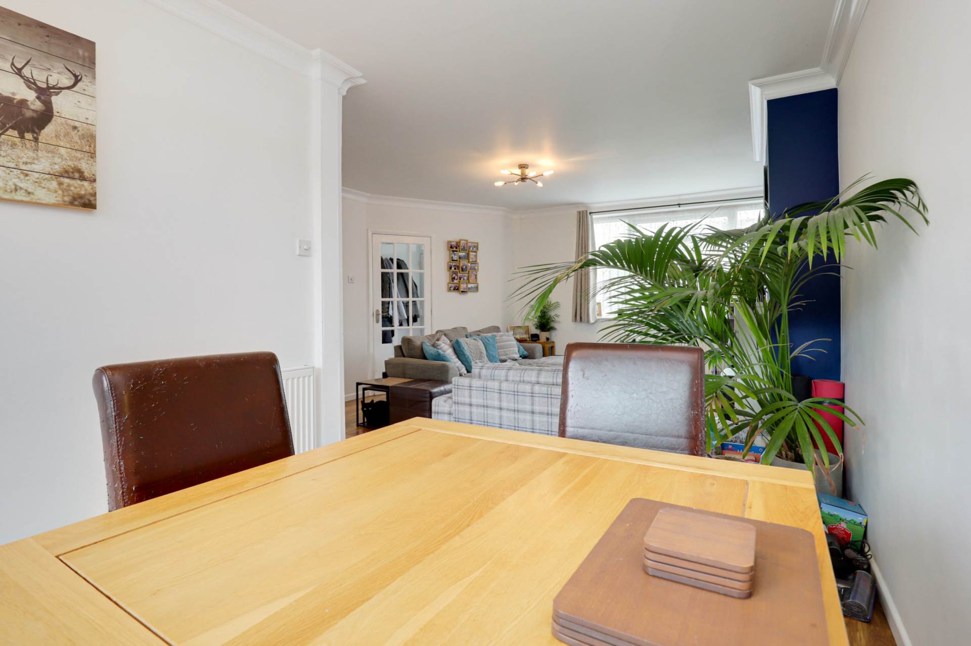 Douglas Road, Caversham, Image 11