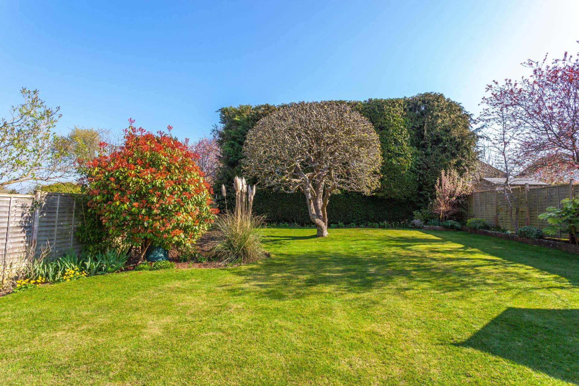 Kidmore End Road, Emmer Green, Image 26