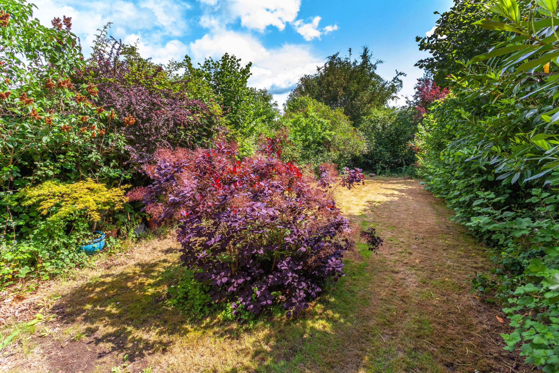 Kidmore Road, Caversham Heights, Image 39