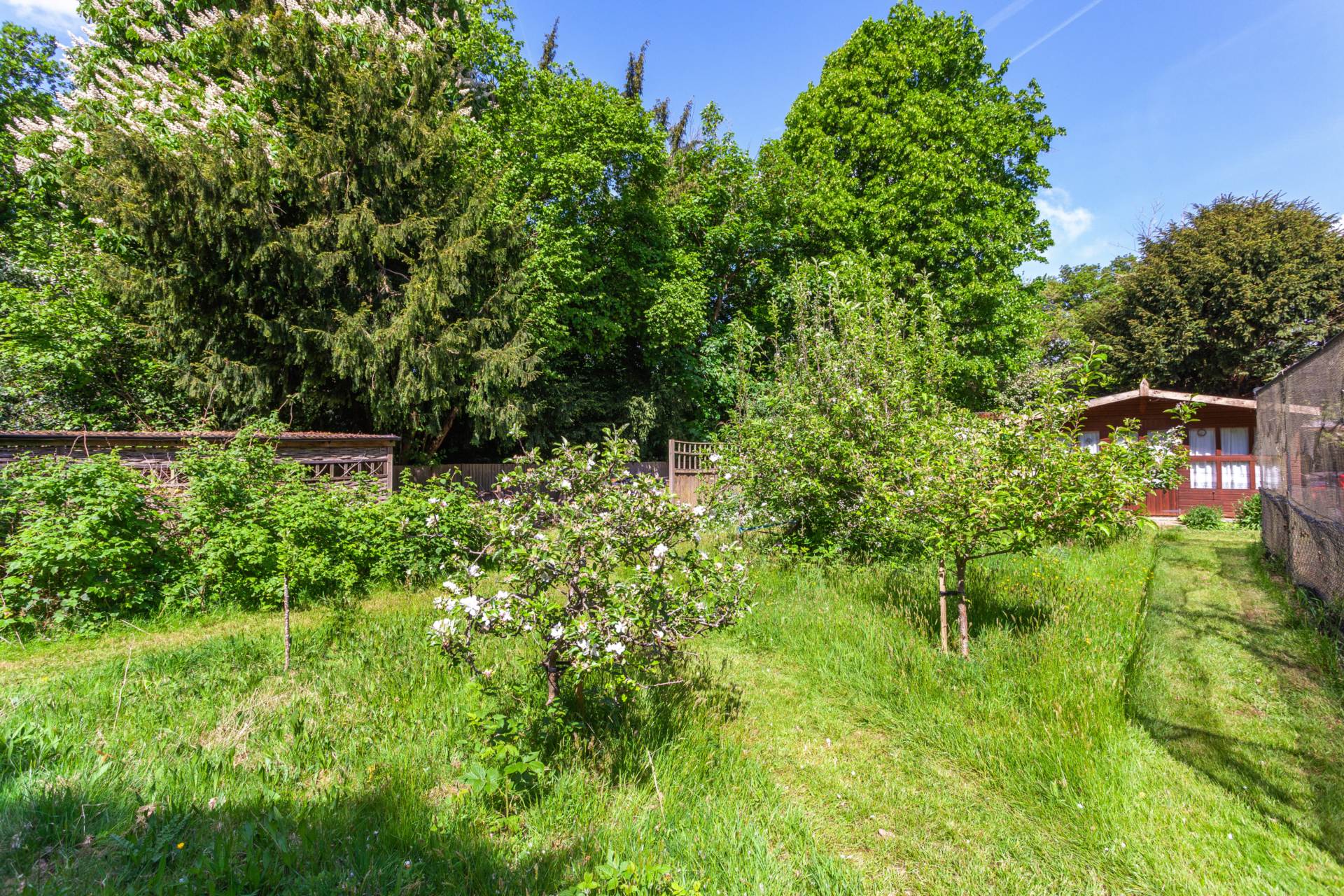 St Peters Avenue, Caversham Heights, Image 46