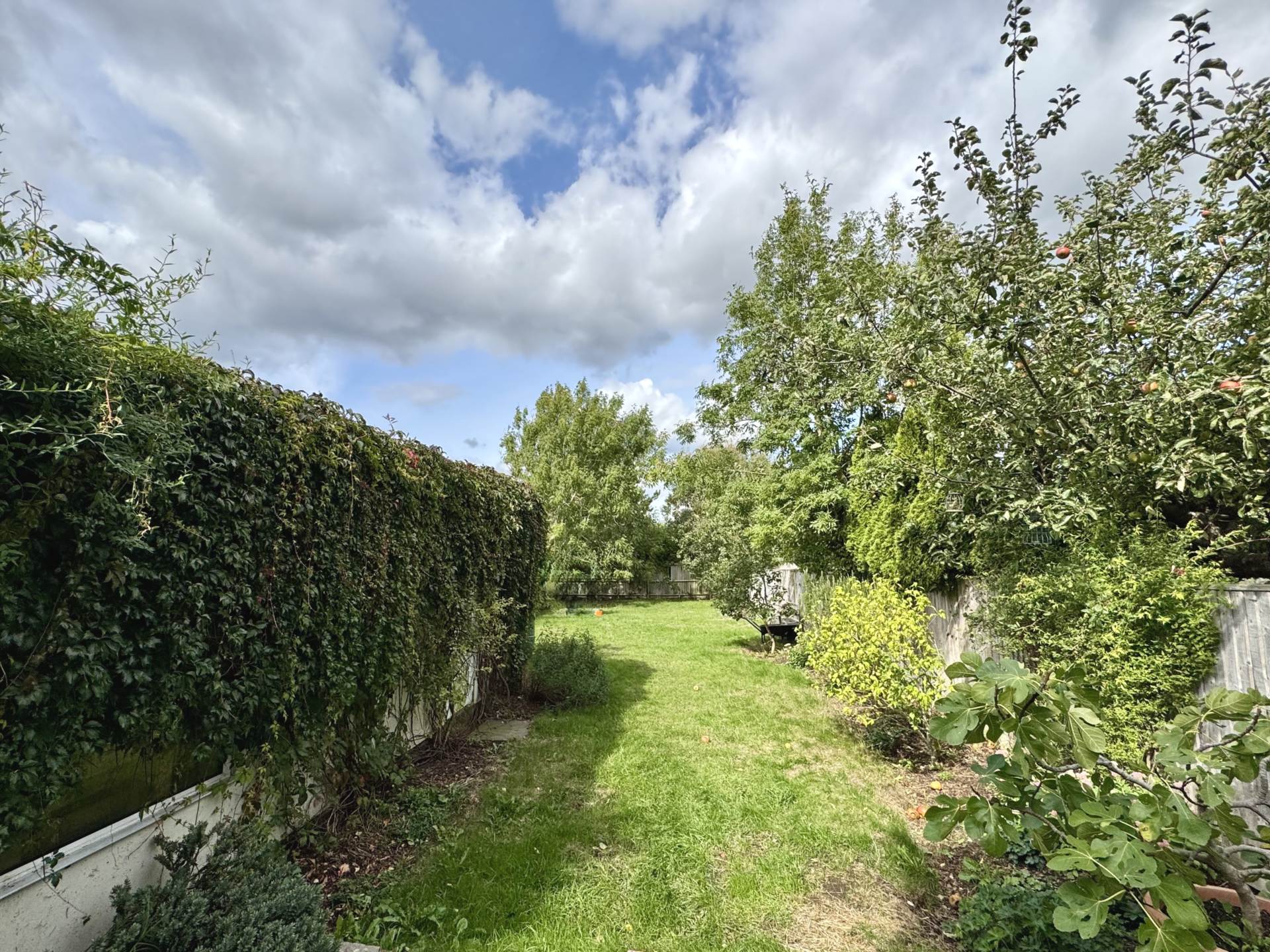Highdown Avenue, Emmer Green, Image 25