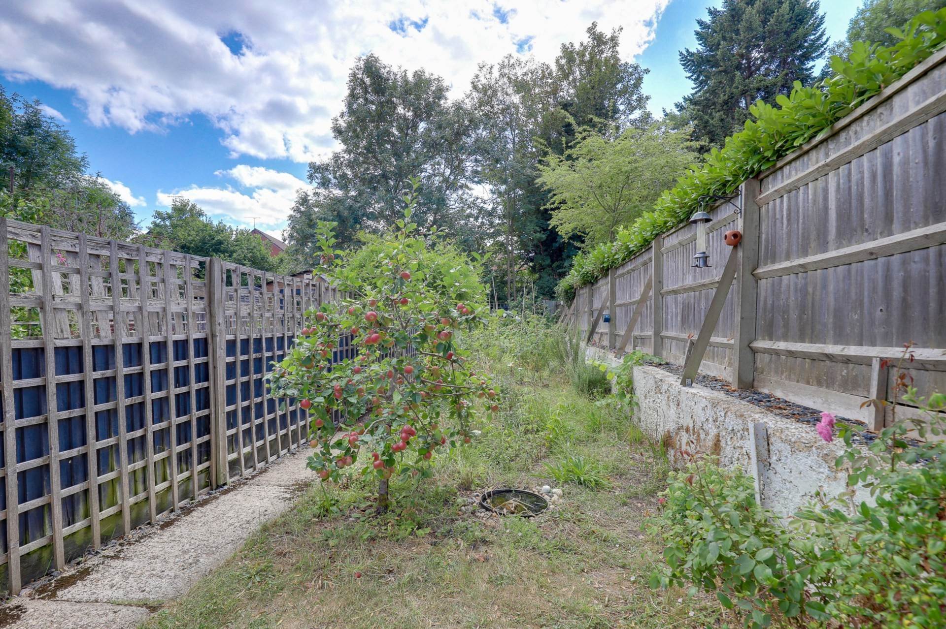 Queens Road, Caversham, Image 19