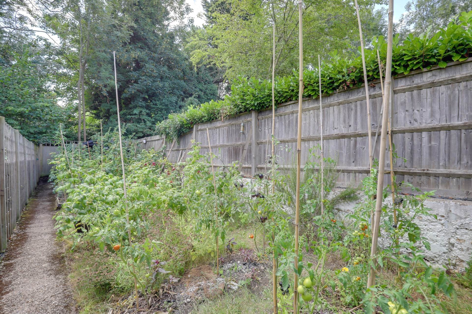 Queens Road, Caversham, Image 21