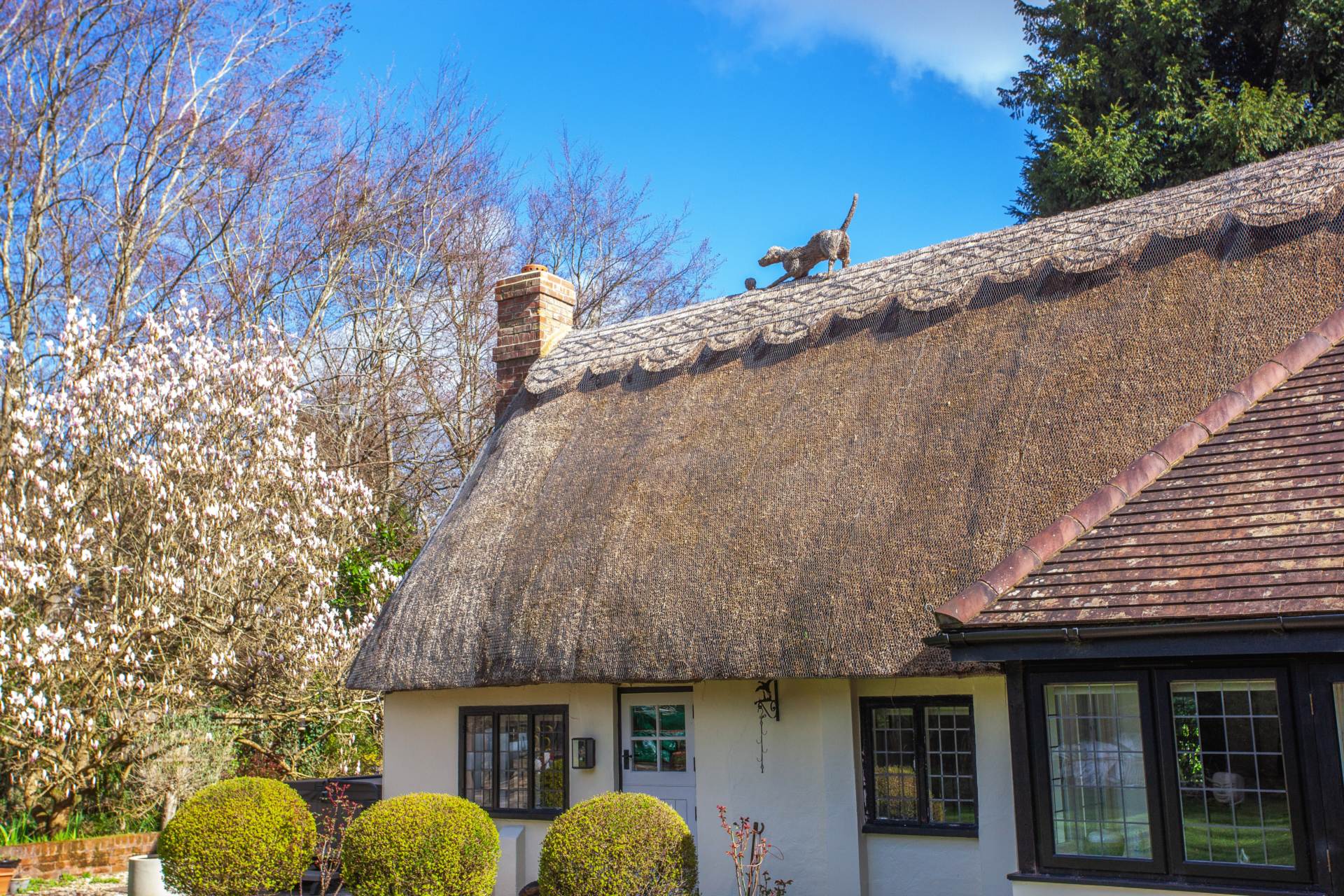 Cane End, South Oxfordshire, Image 28