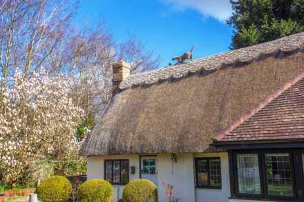 Cane End, South Oxfordshire, Image 28