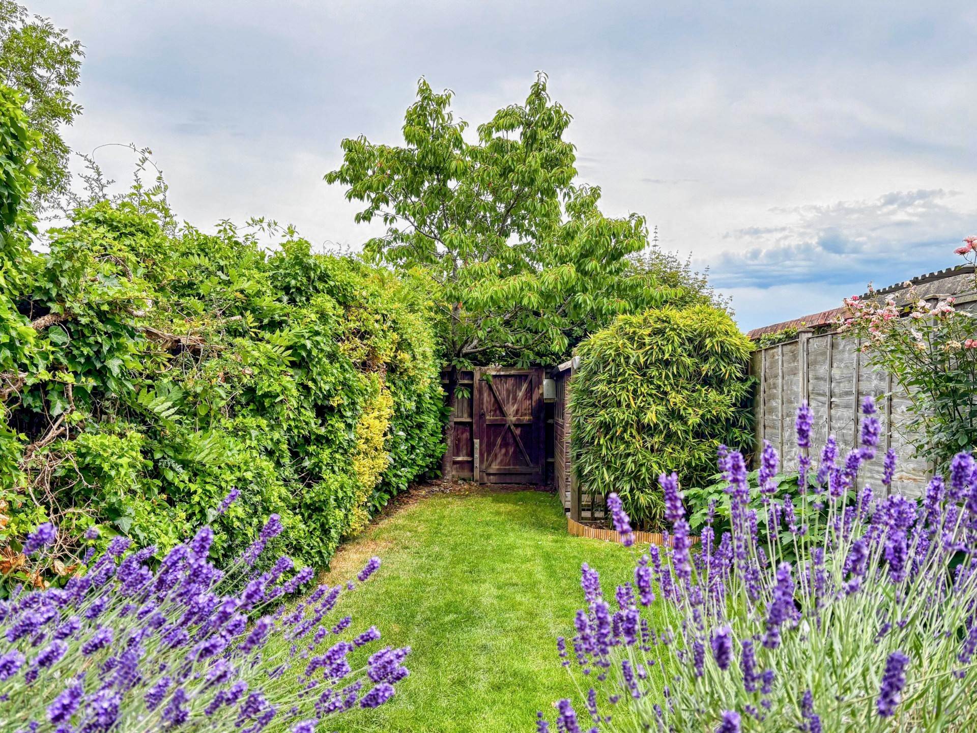 Patrick Road, Caversham, Reading, Image 14