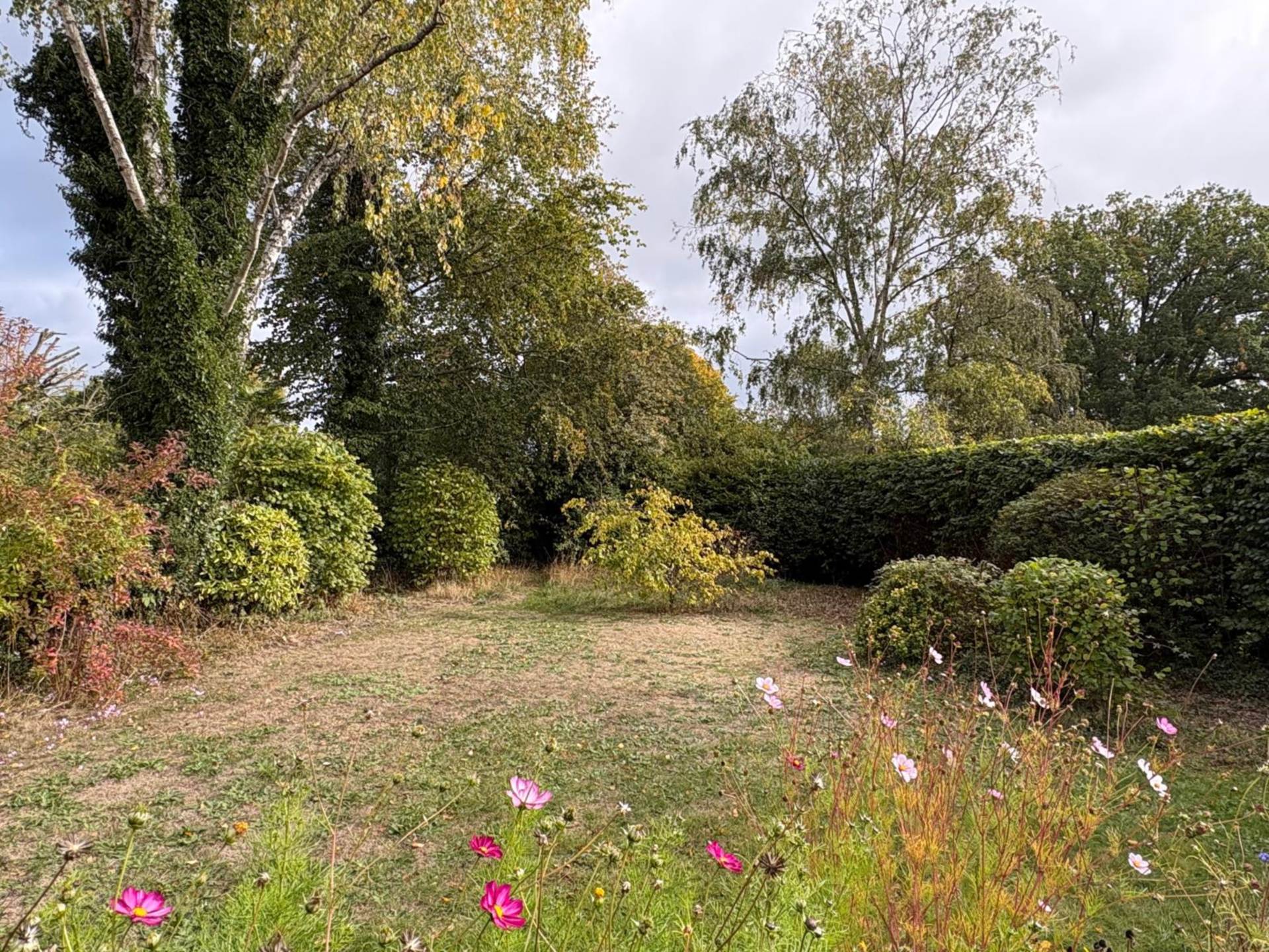 Bridle Road, Whitchurch Hill, South Oxfordshire, Image 4