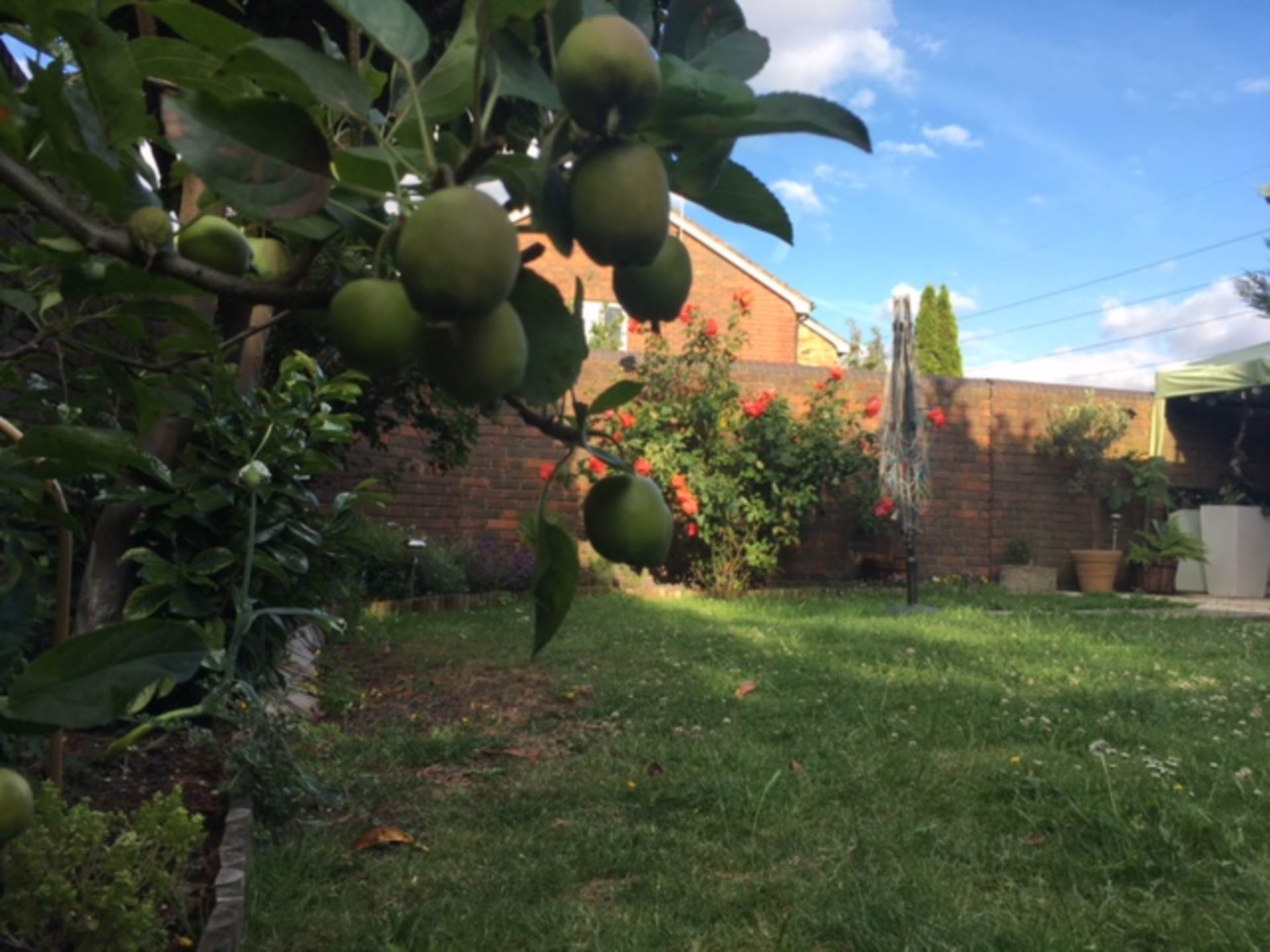Oliver Gardens, London, Image 8