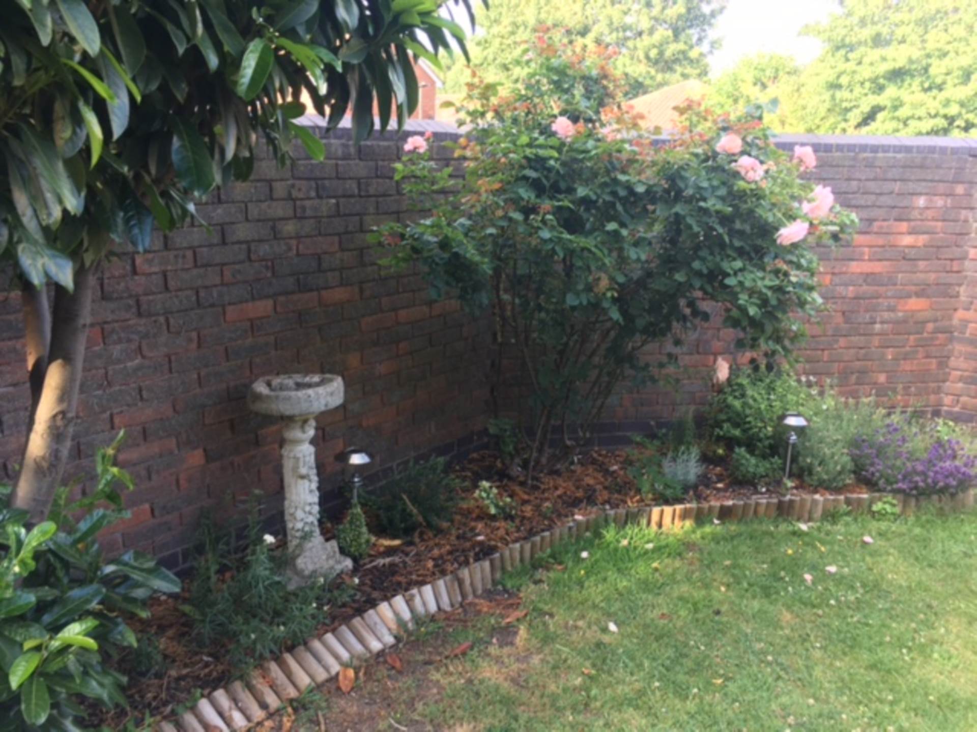 Oliver Gardens, London, Image 9