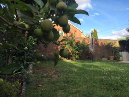 Oliver Gardens, London, Image 8