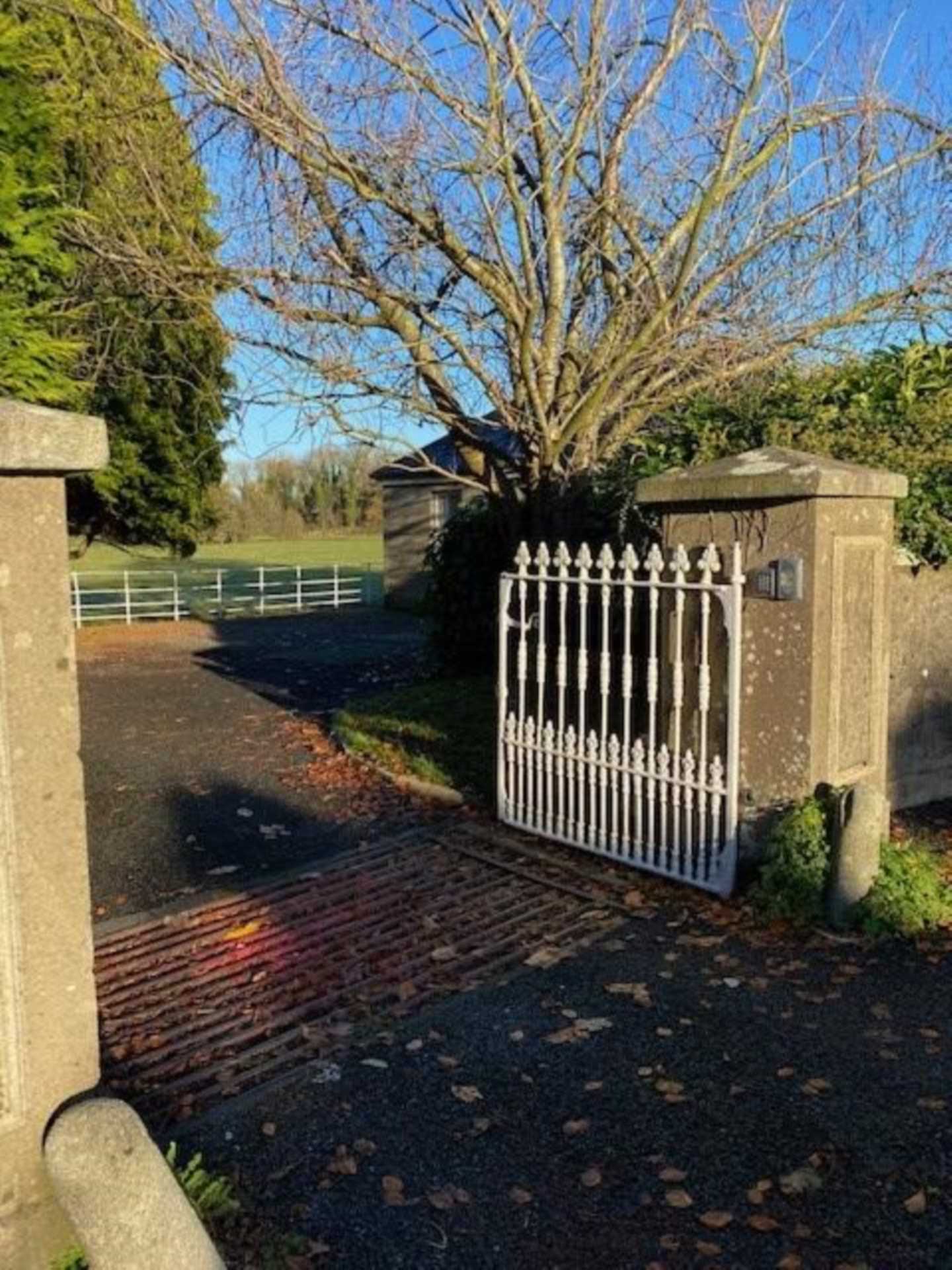 The Lodge, Painestown, Kill., Image 5