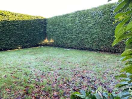 The Lodge, Painestown, Kill., Image 4