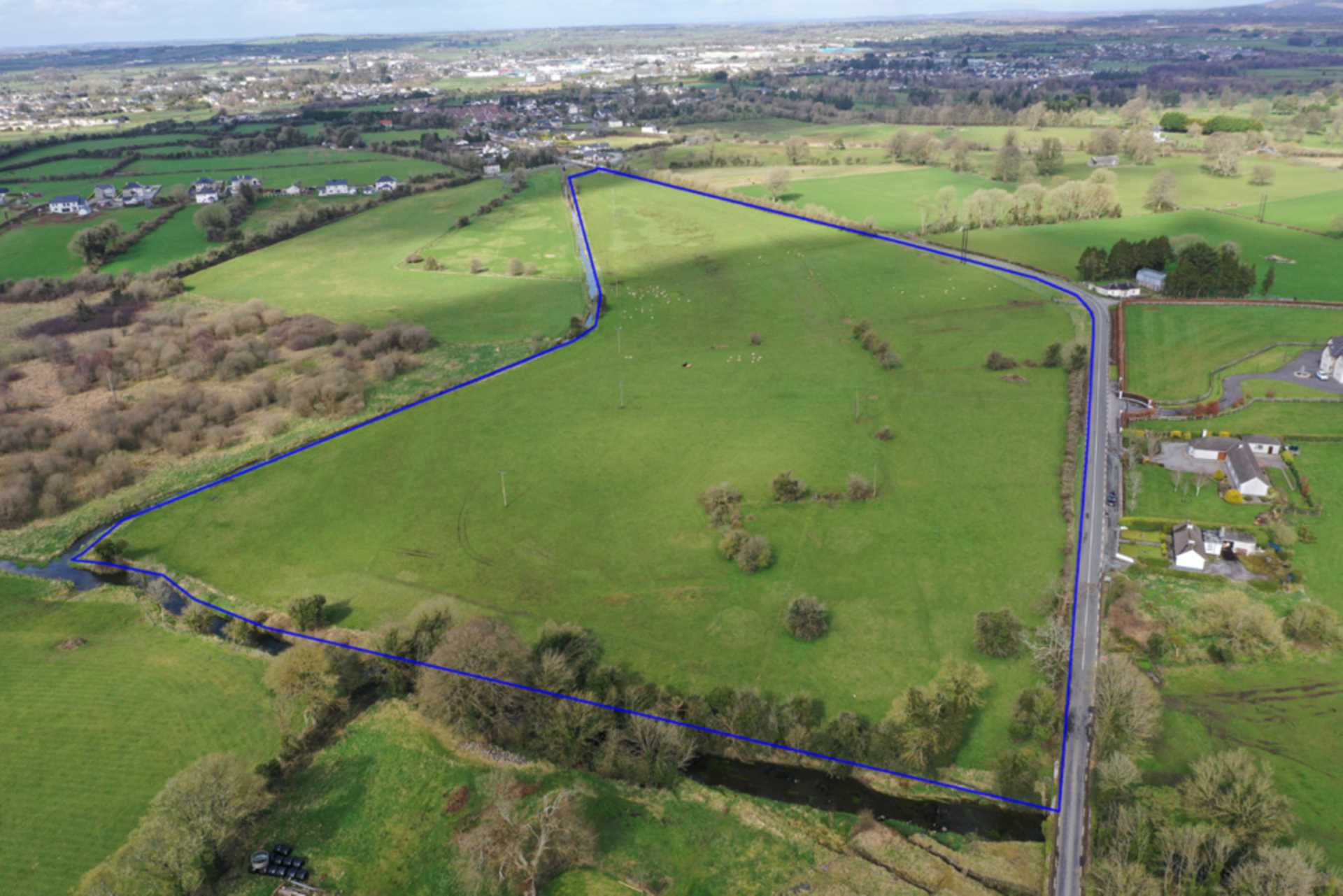 Ballymartin More, Roscommon Town