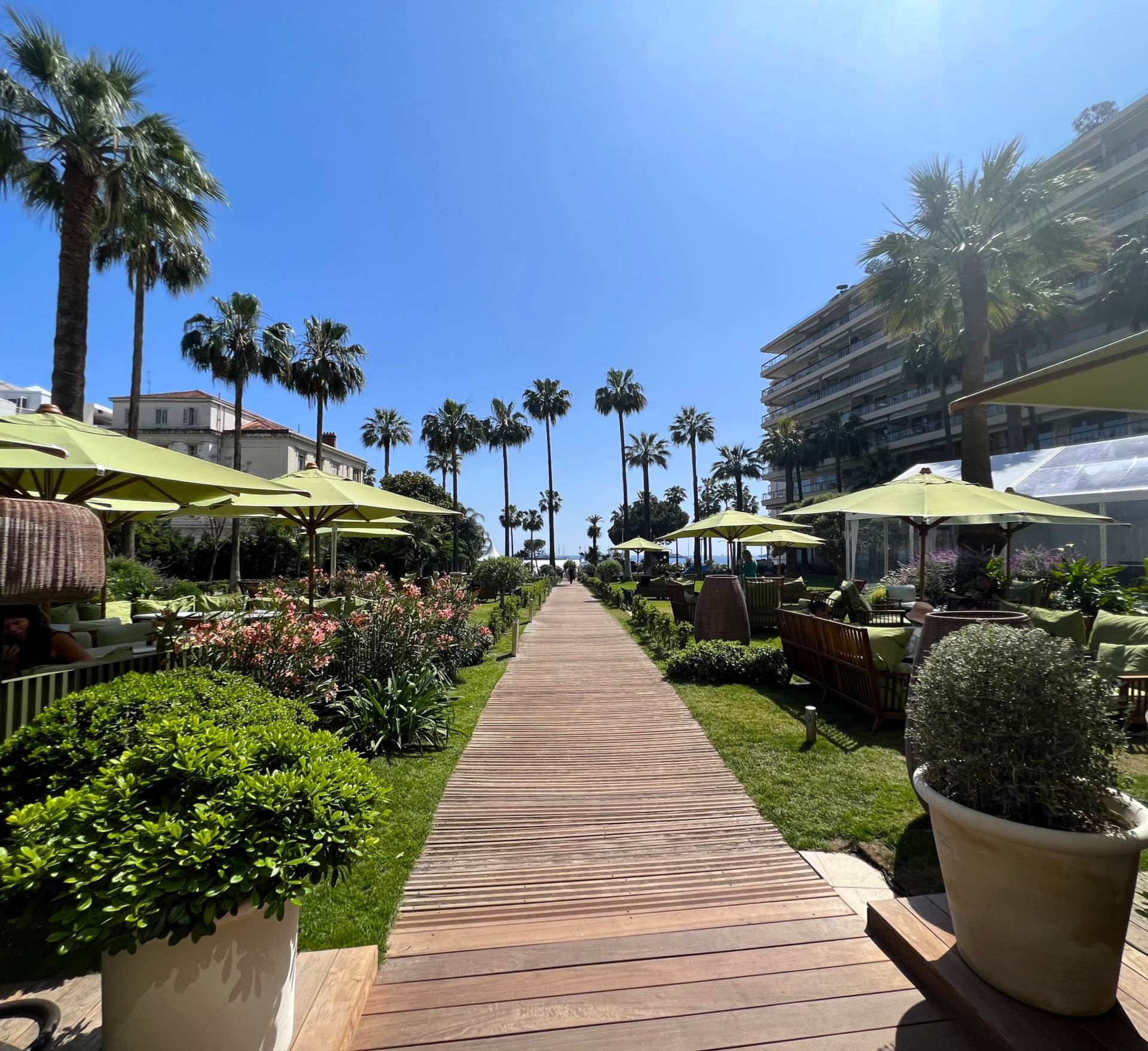 Cannes, The Heart of The Croisette