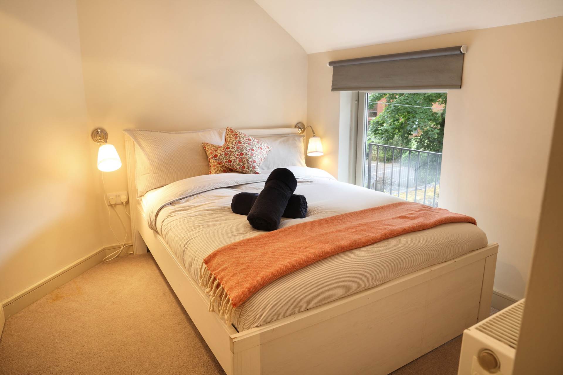 Baggot Lane, Ballsbridge