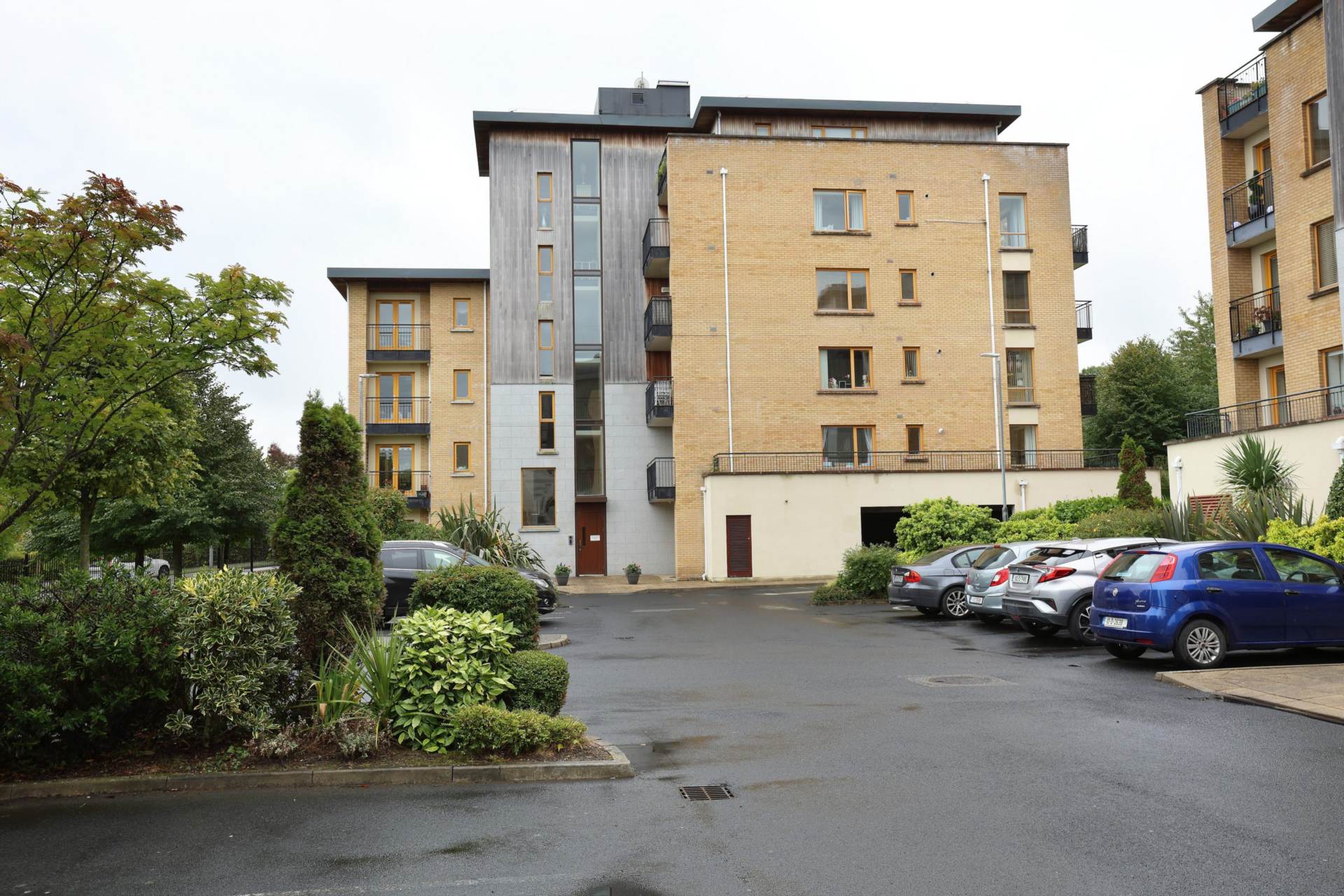 Belarmine Avenue, Stepaside