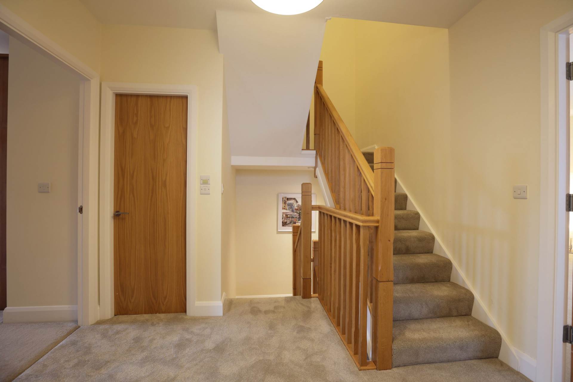 Cualanor Crescent, Cualanor