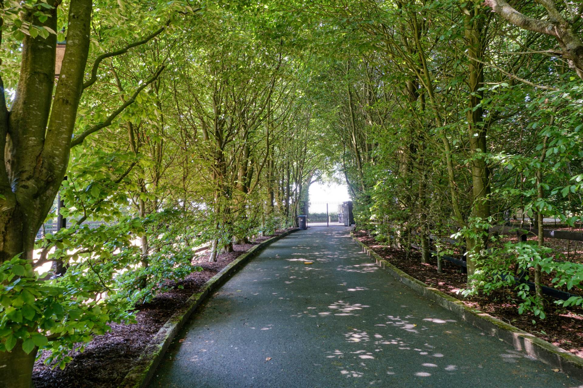 Bough, Rathvilly