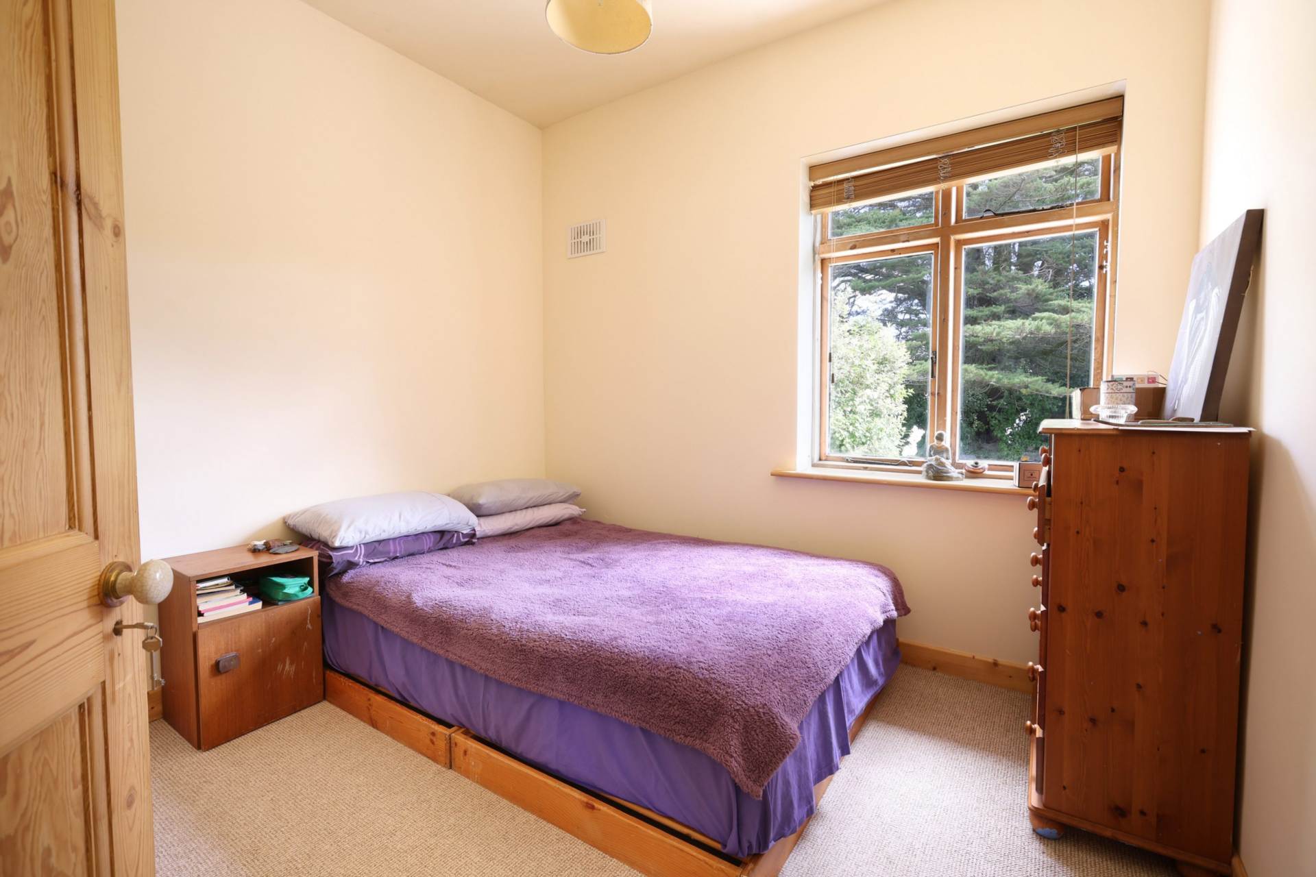 The Old Village, Rathnew