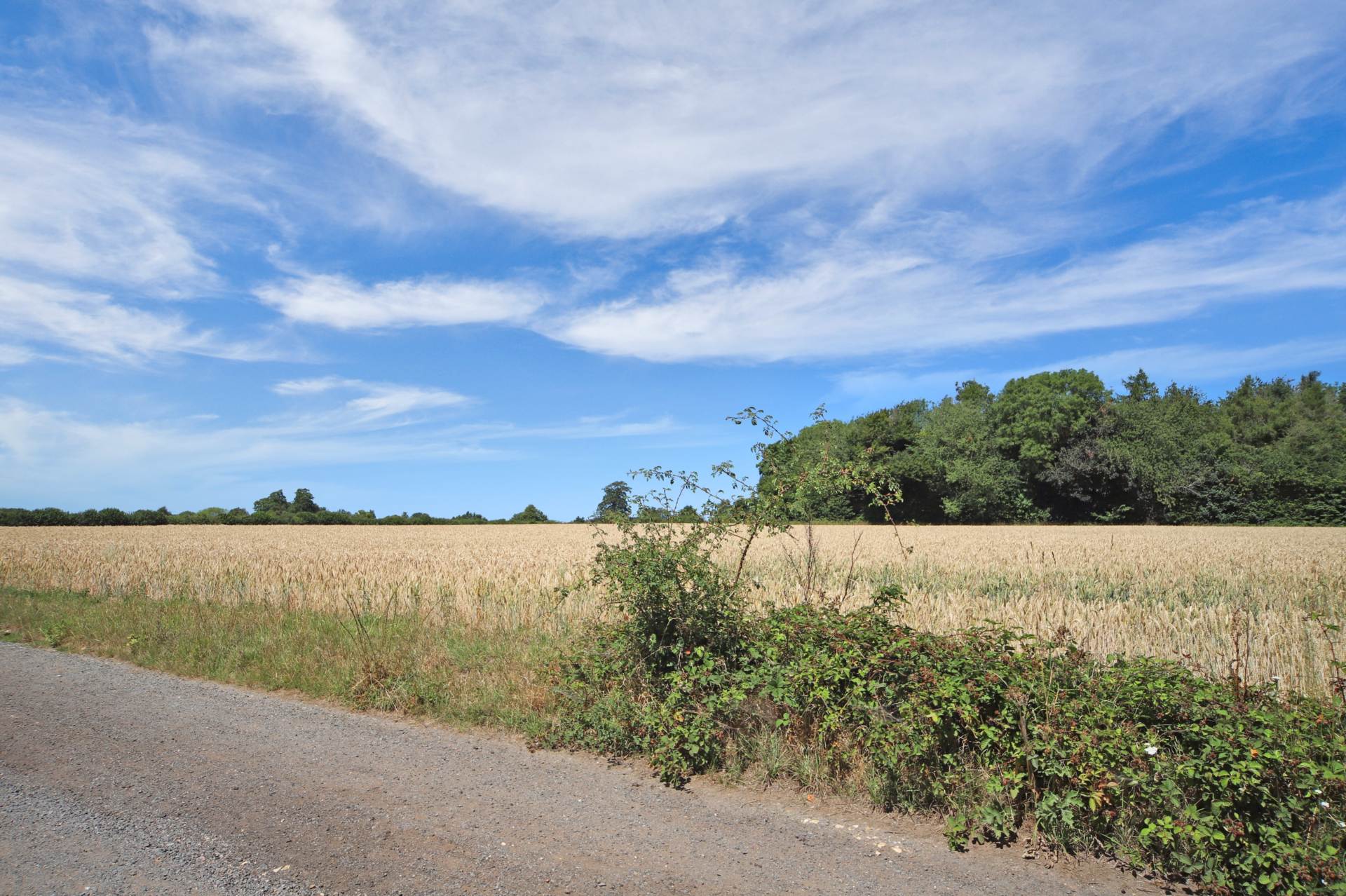 Bishopsfield, Wick Road, Wigginton, Image 2