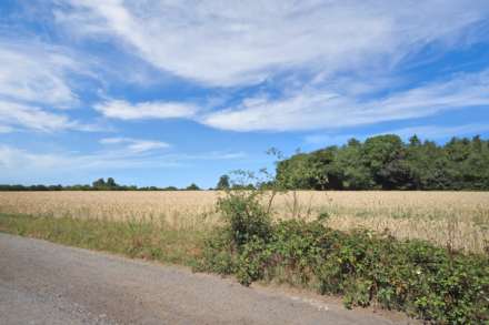 Bishopsfield, Wick Road, Wigginton, Image 2