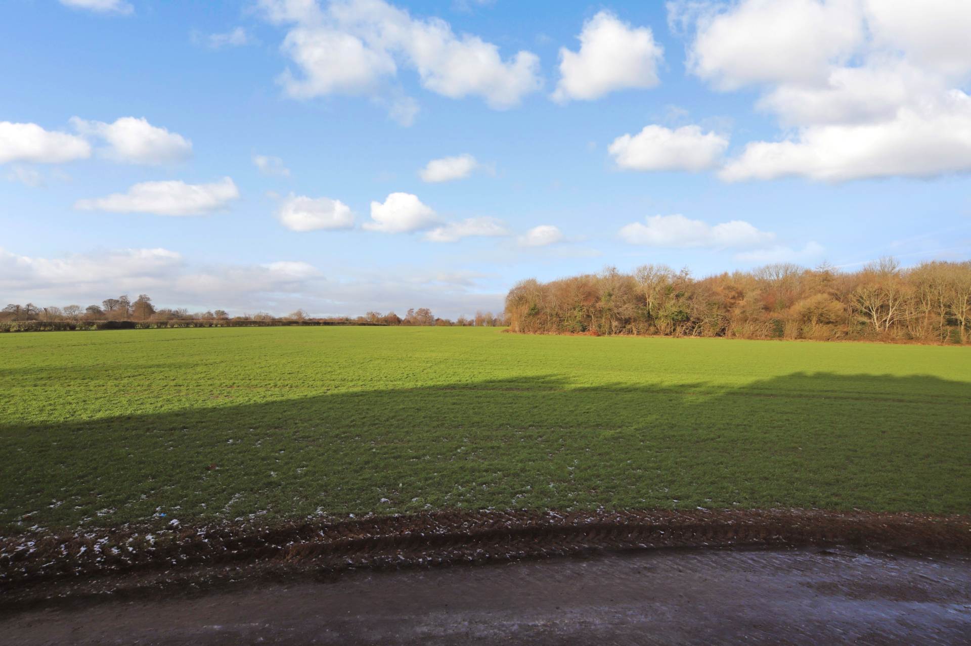 Wick Road, Wigginton, Hertfordshire, Image 19