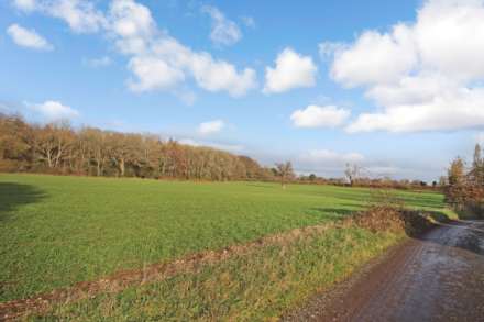 Wick Road, Wigginton, Hertfordshire, Image 2