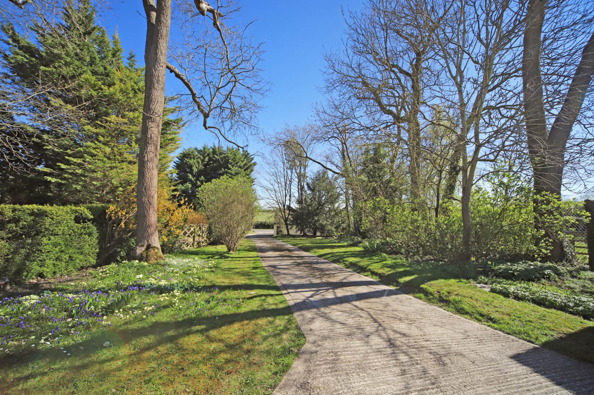 Edlesborough, Image 2