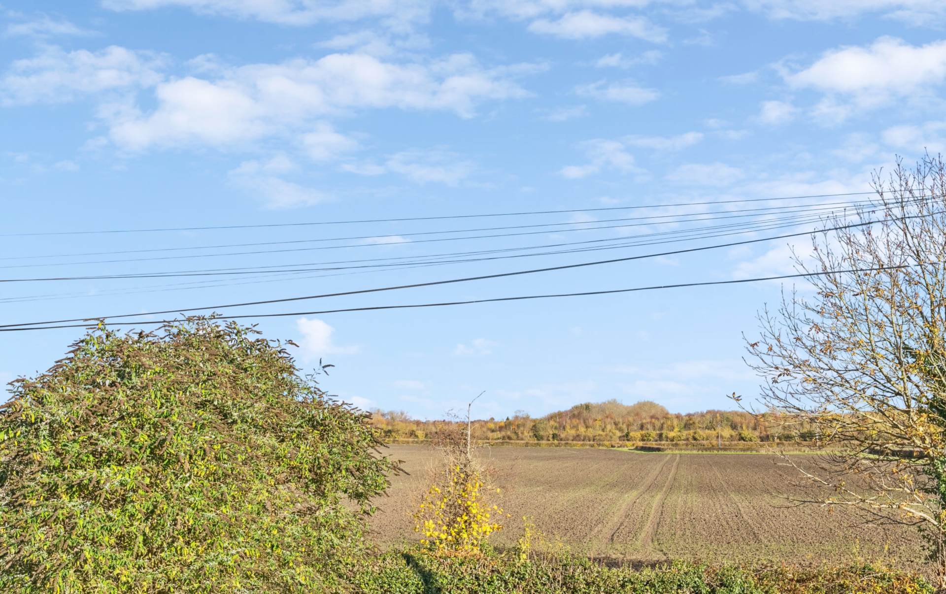Buckland, Image 17