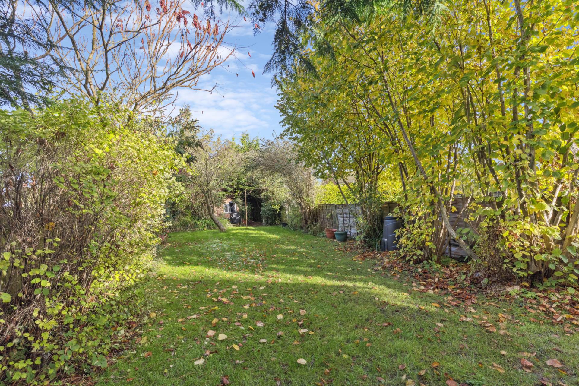 Buckland, Image 22
