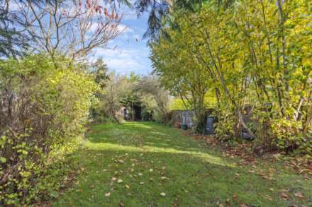 Buckland, Image 22