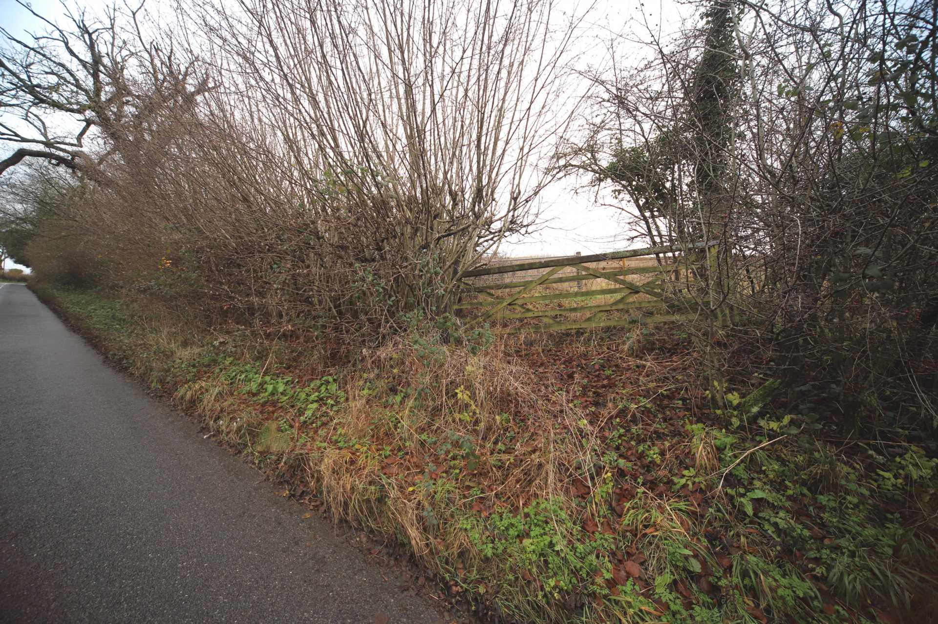 Flowers Bottom Lane, Speen, Image 2