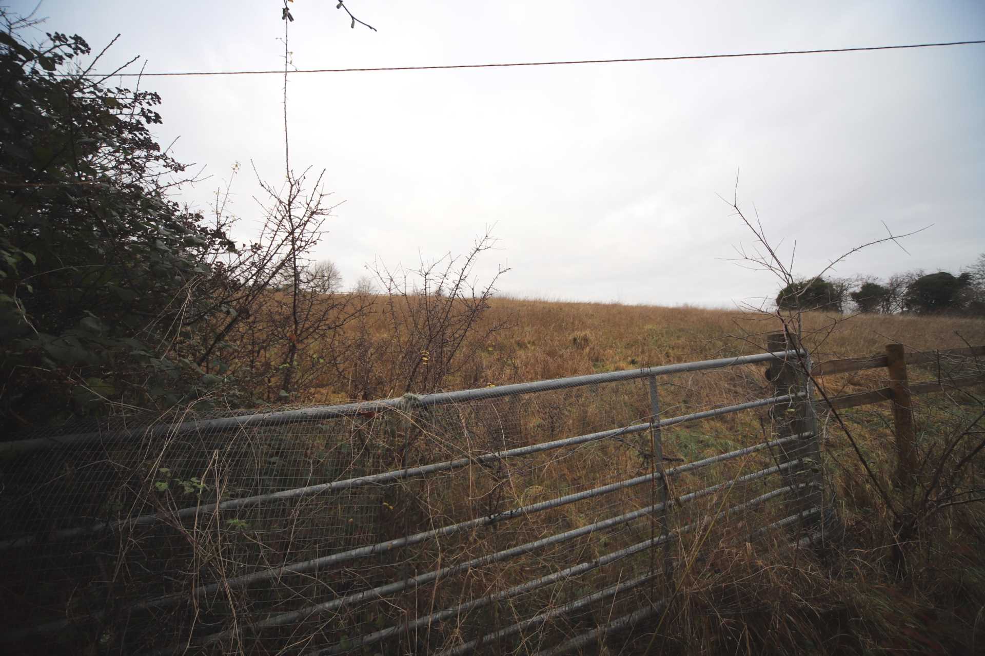 Flowers Bottom Lane, Speen, Image 3