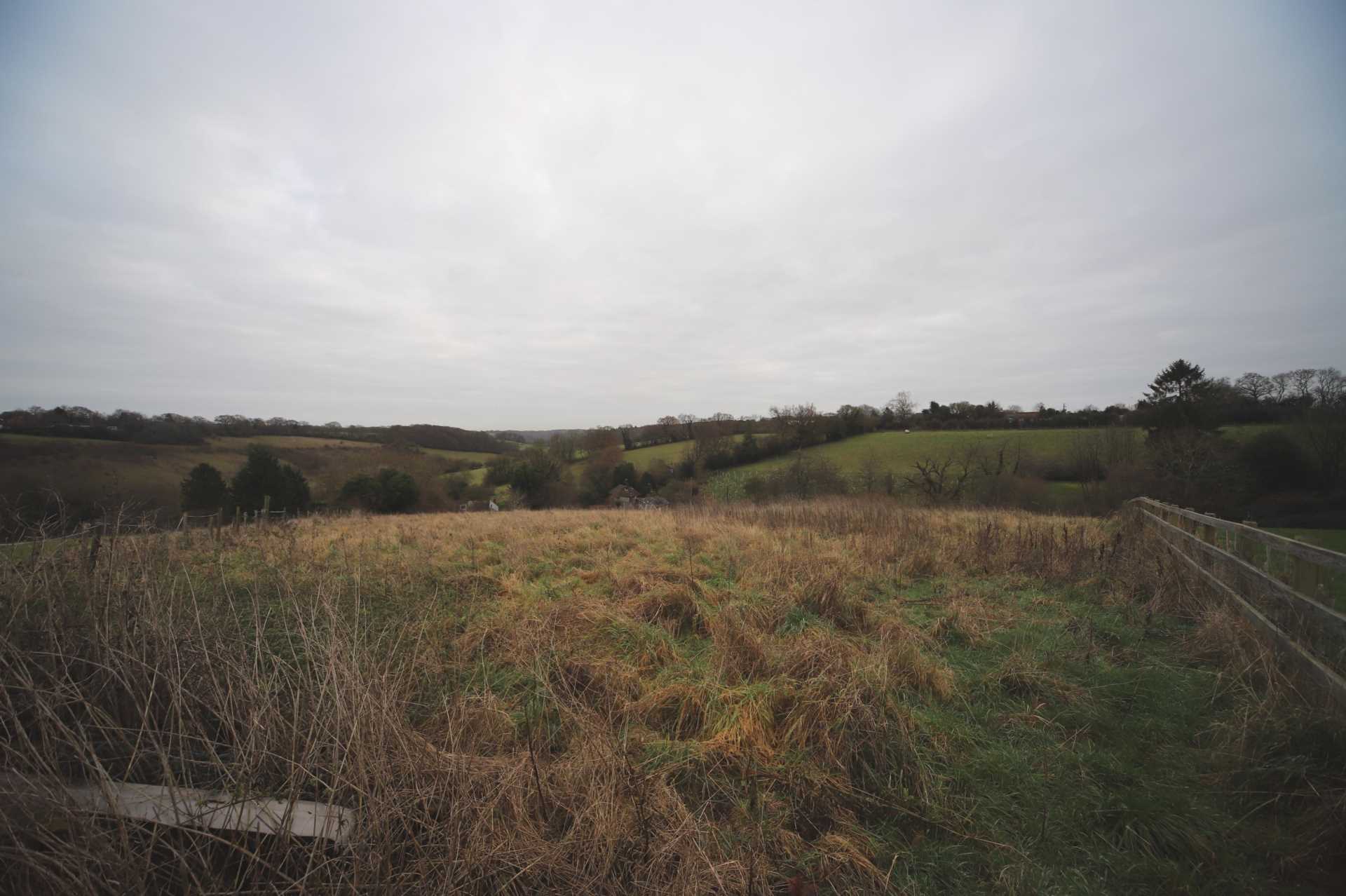 Flowers Bottom Lane, Speen, Image 6