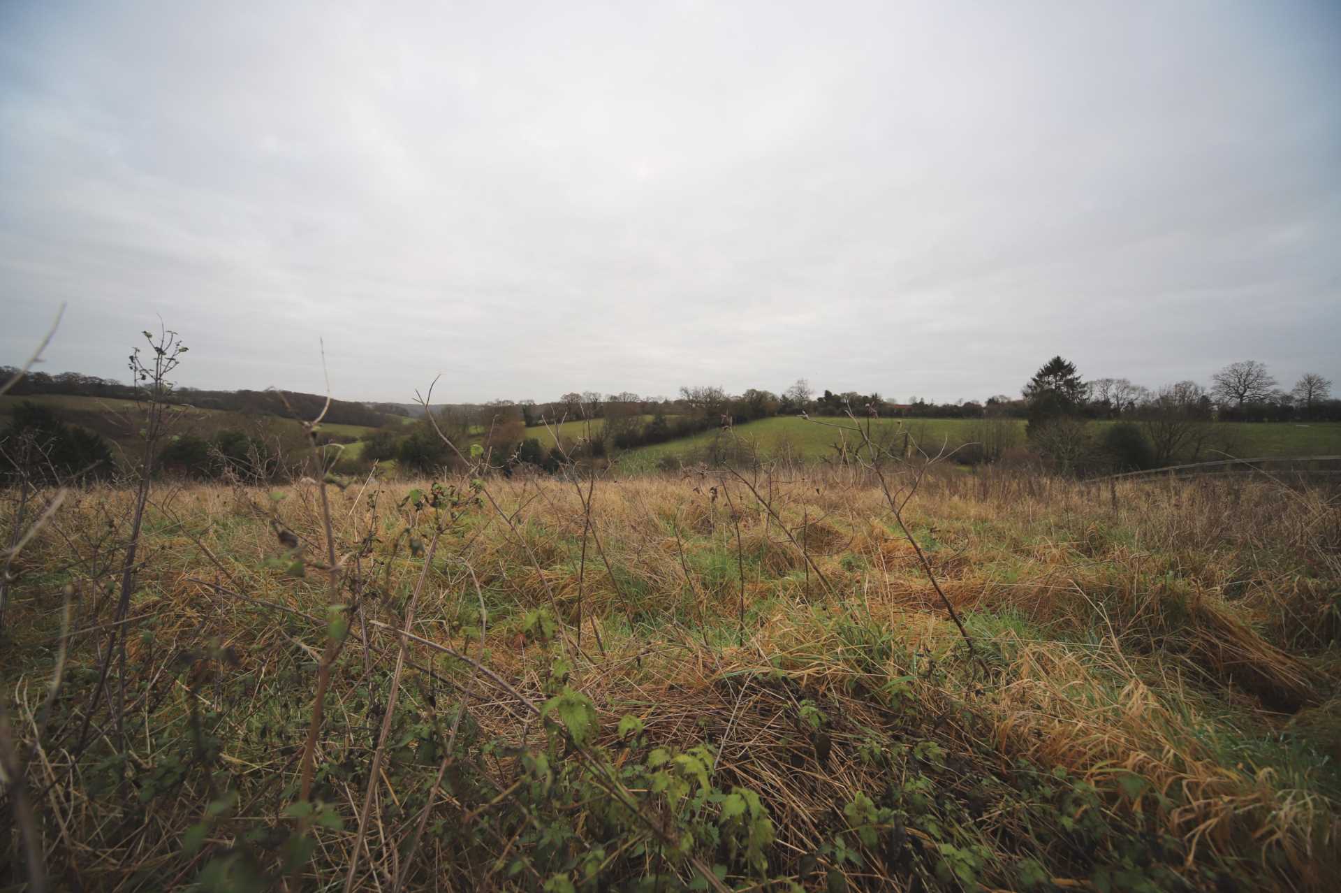 Flowers Bottom Lane, Speen, Image 8