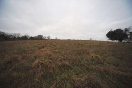 Flowers Bottom Lane, Speen, Image 11