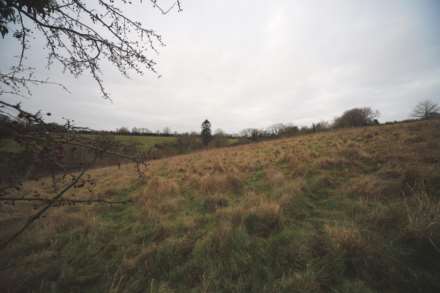 Flowers Bottom Lane, Speen, Image 9