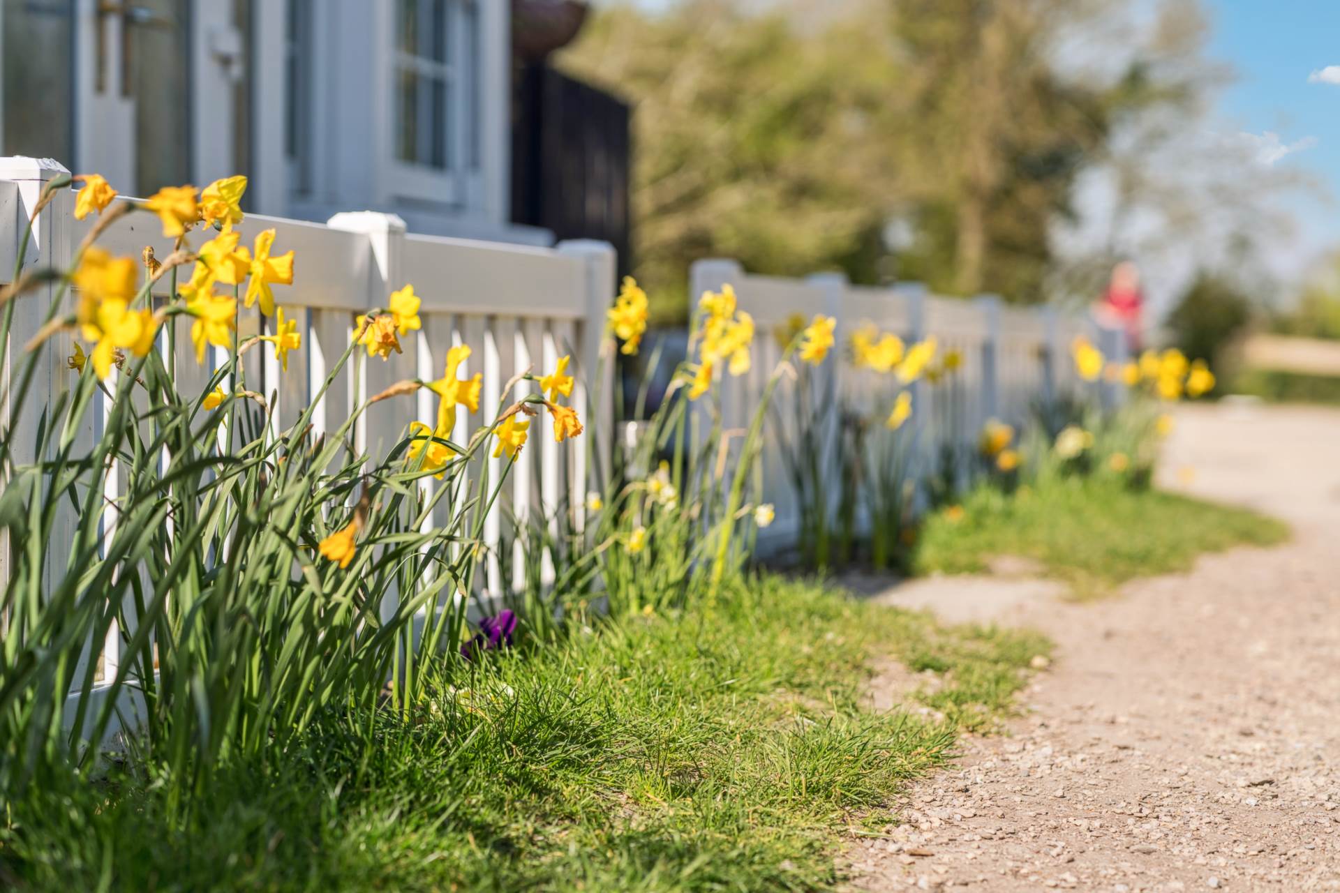 Bulbourne -  Canal Side, Image 23