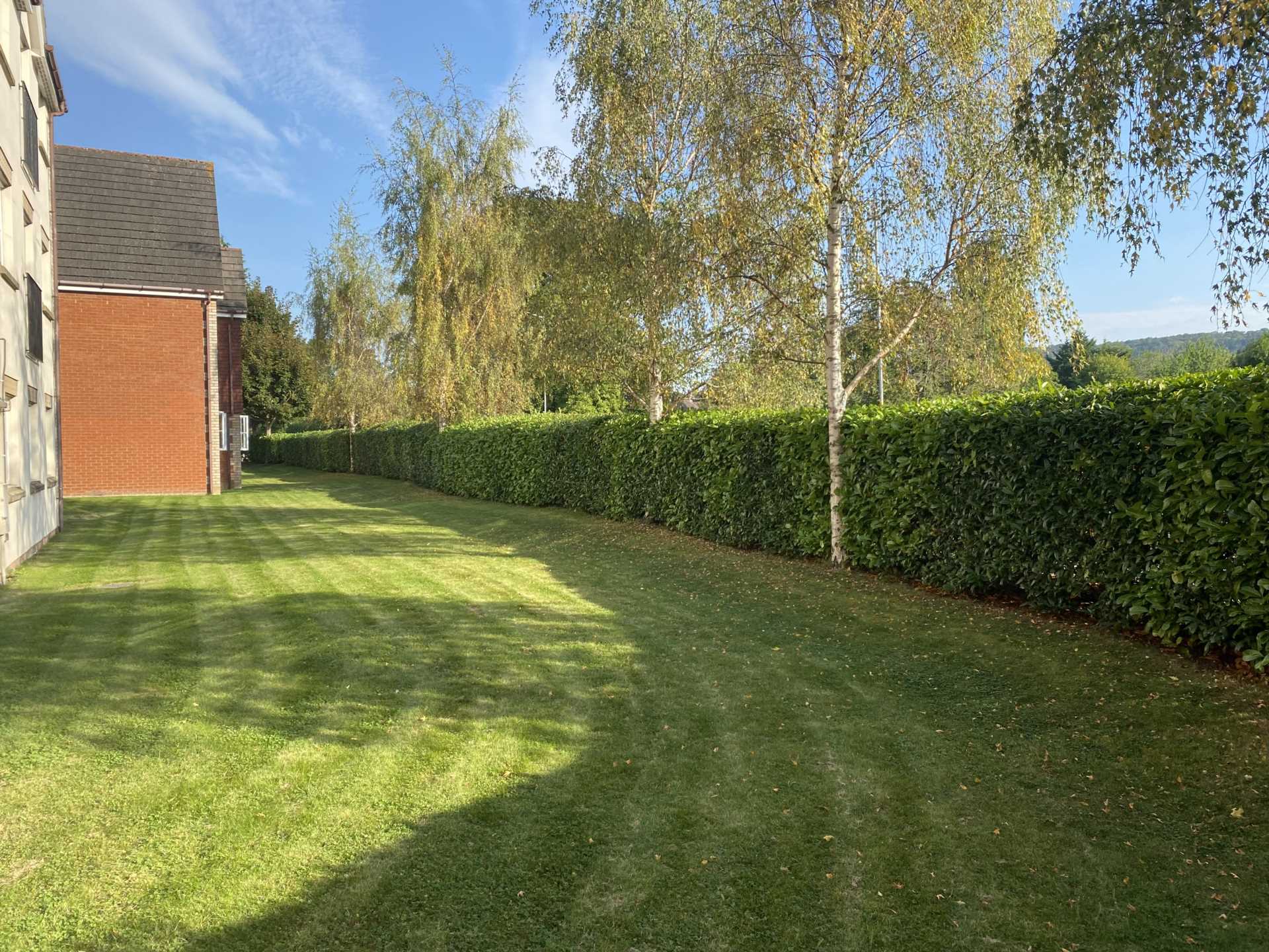 Aston Clinton, Image 10