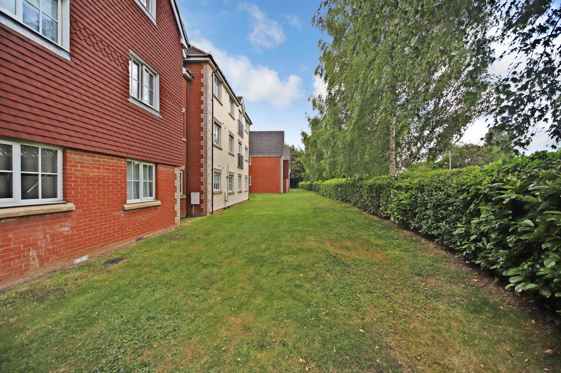 Aston Clinton, Image 8