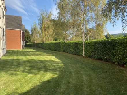 Aston Clinton, Image 10
